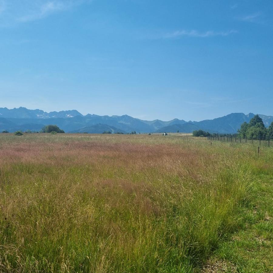 Domek Zakopane Tatrzanski Kacik Apartzakop Dış mekan fotoğraf